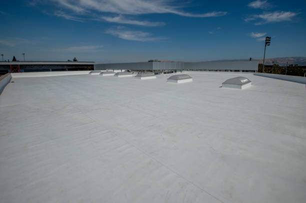 Best Roof Maintenance and Cleaning  in Captains Cove, VA