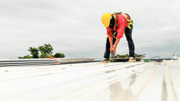 Best Roof Ventilation Installation  in Captains Cove, VA
